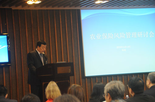 pengfei03.jpg