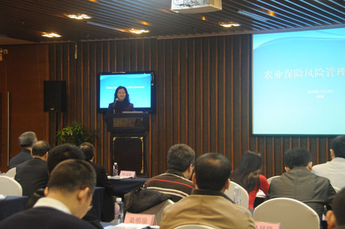 chengfeng02.jpg