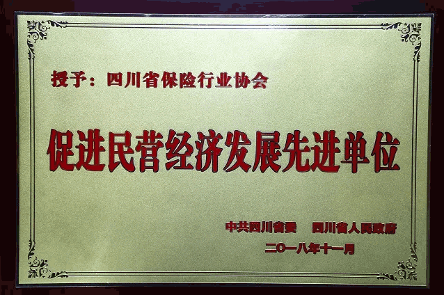四川省保险行业协会再获政府表彰